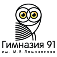 Логотип компании Гимназия №91 им. М.В. Ломоносова